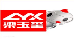 南通德威莱克清洁系统有限公司